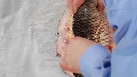 фаршированный карп