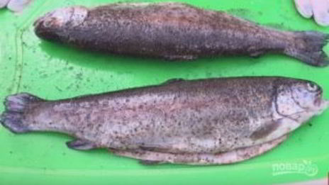 форель на мангале в лимонно-чесночном маринаде