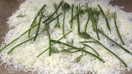 форель эрланген