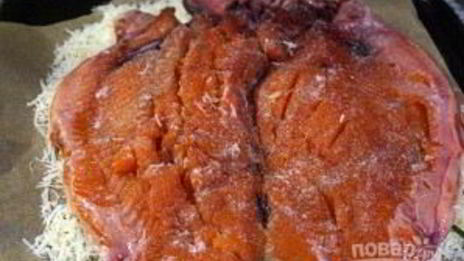 форель эрланген