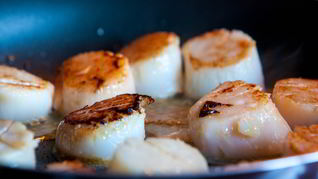 Гребешки в сливочном соусе