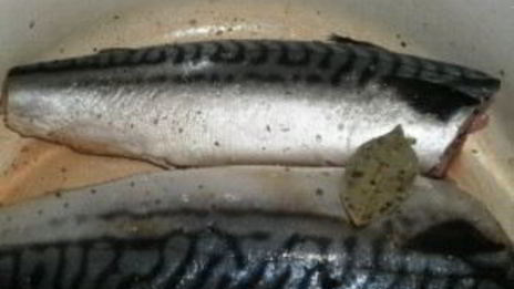 копченая скумбрия в мультиварке