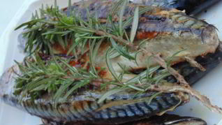 Маринованная скумбрия на гриле