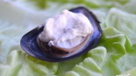 мидии, запеченные с сыром