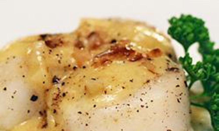 Рецепт морских гребешков с соусом из белого вина