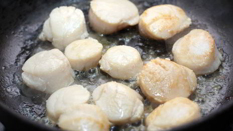 морские гребешки