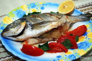 Рыба дорада