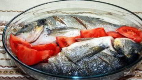 рыба дорада