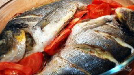 рыба дорада