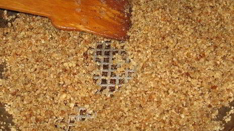 рыба с мождеем