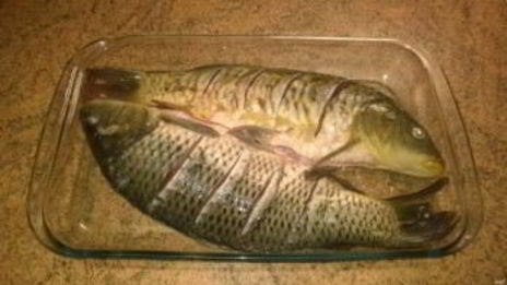 рыба со сметаной