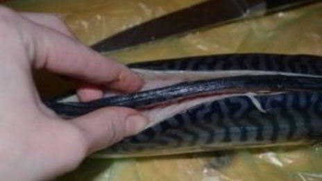 рыба, запеченная с рисом