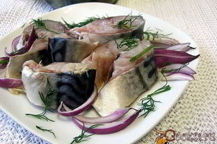 Скумбрия быстрого посола