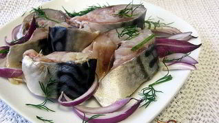 Скумбрия быстрого посола