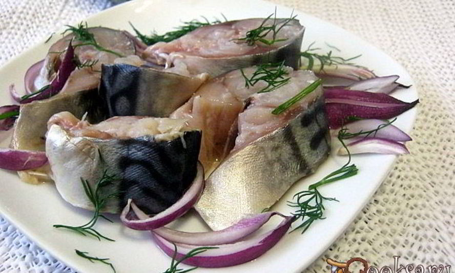 Рецепт скумбрии быстрого посола