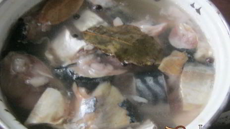 скумбрия быстрого посола