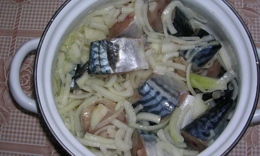 Рецепт скумбрии в молоке