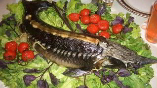 Стерлядь, запеченная в фольге