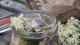 Вкусную селедка в рассоле