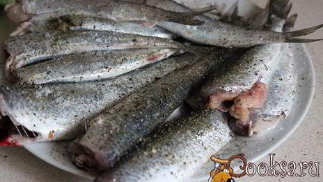 жареная салака