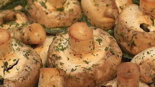 Шашлычки из шампиньонов