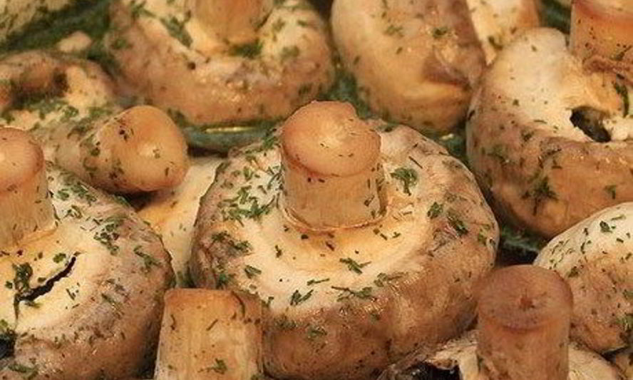 Рецепт шашлычков из шампиньонов