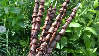 Шашлык из куриных сердечек в сметане