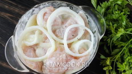 шашлык из курицы в майонезе