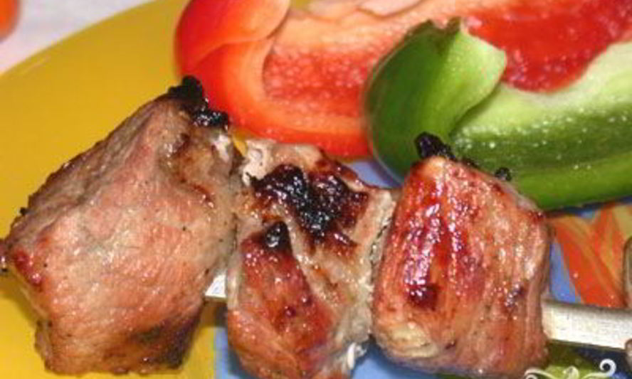 Рецепт шашлыка из лосятины