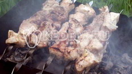 шашлык с киви