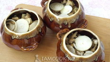 жаркое из свинины в горшочках