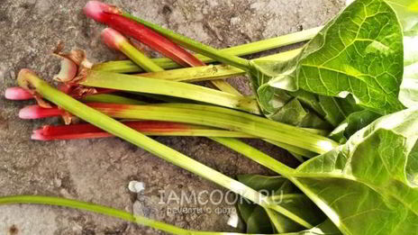 кисель из ревеня