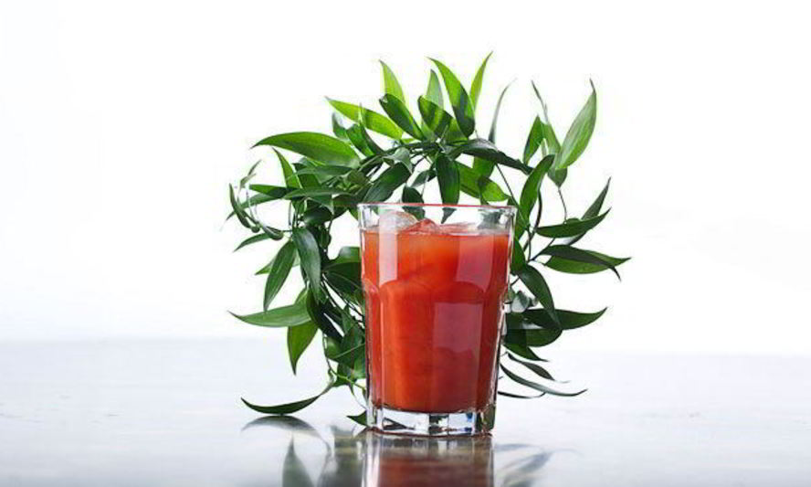 Рецепт коктейля кровавого цезарь