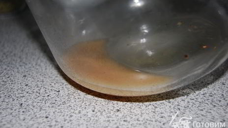 хлебный квас