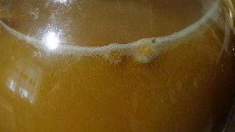 квас из сусла