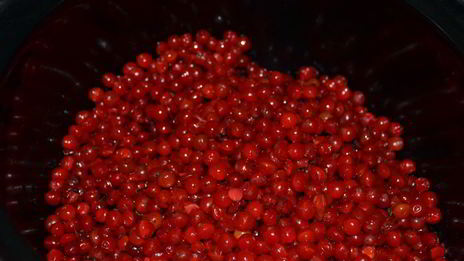 морс из калины