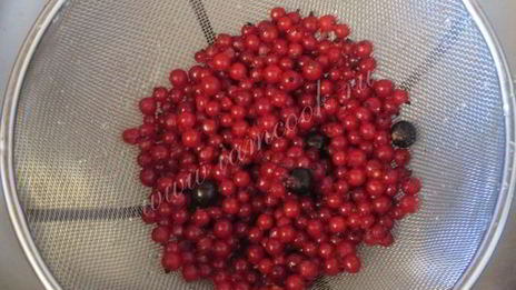 морс из смородины