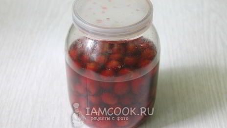 наливка из вишни