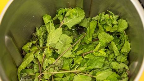 напиток мятный концентрированный