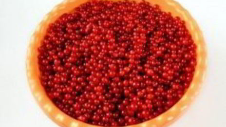 сироп из смородины на зиму