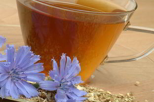 Свойства и состав напитка из цикория