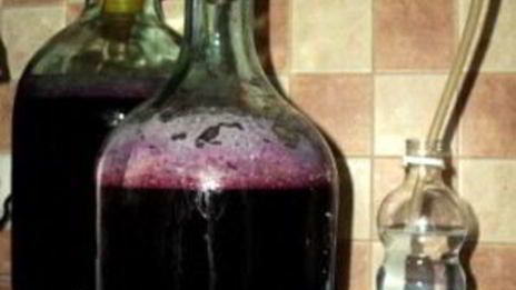 вино из сливы