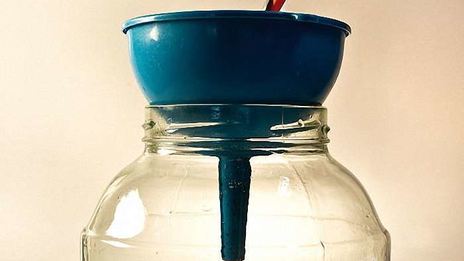 вино из смородинового варенья