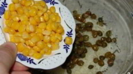 салат любимый с кукурузой