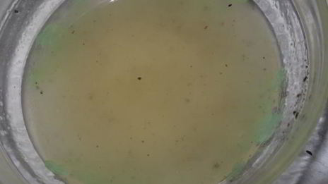 салат мачу пикчу