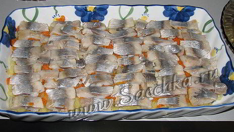 селедка под шубой