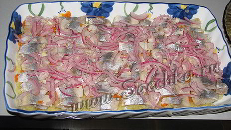 селедка под шубой