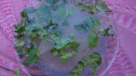 салат с тыквой, пшеном и моцареллой