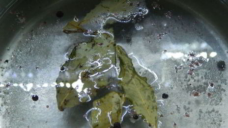 салат шашлычный