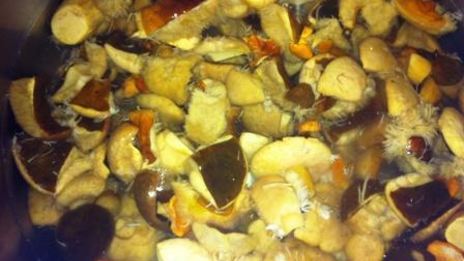 соус из белых грибов